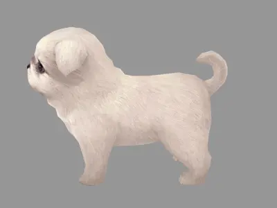 Cartoon pet puppy - White Paco - baby dog Low-poly 3D model