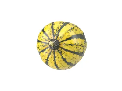 Photorealistic Decorative Gourd 3D Scan 2 3D model