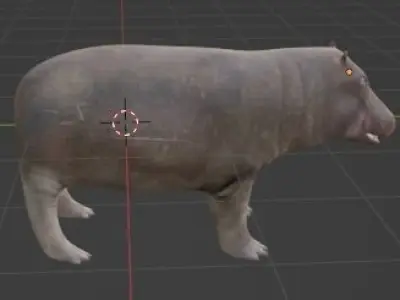 hipoppotamus for game 3D model