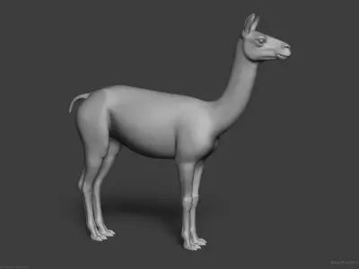 Llama - Highpoly Sculpture 3D model