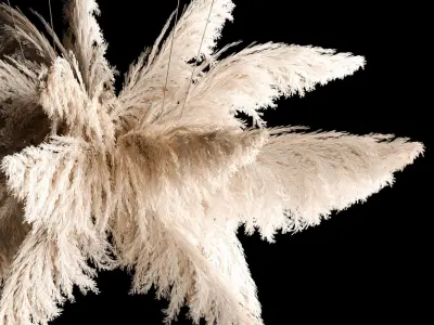 Hanging Bouquet Of Dry Reeds For Decoration 271 3D model