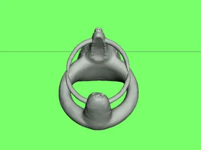 ring-wolf ring with head of tiger 3D model