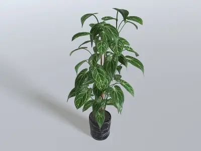 Pot Tropical Plant 1 Low-poly 3D model