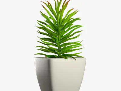Pot Plant 12 3D model