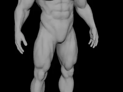 muscular sculpt base mesh humanly accurate 3D model