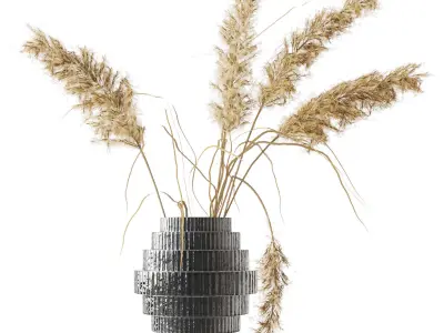 Black Vase with Pampas 3D model