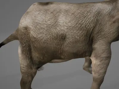 Elephant with long tusks 3D model