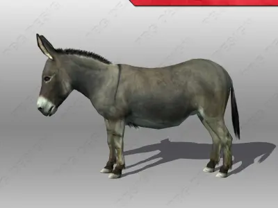 Donkey Animated Low-poly 3D model