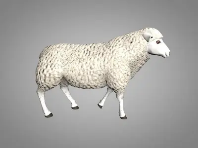 Sheep or Ram Low-poly 3D model