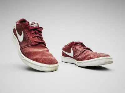 Nike SB Portmore 8K 3D model