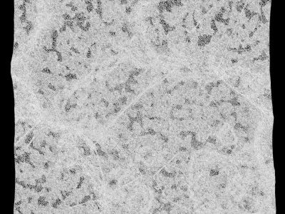 369-RockPanel piece of rock on wall 3D model
