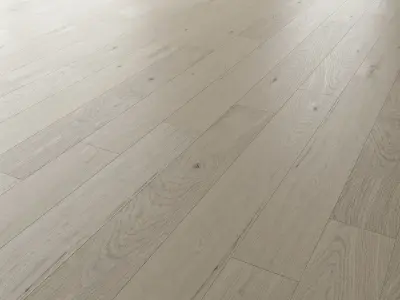 Wood Floor Set 07 Texture