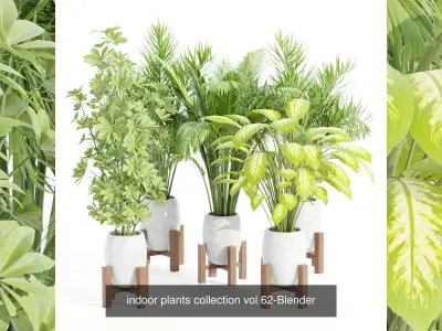 Collection of plants vol 3 3D Models 