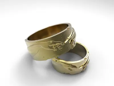 Wedding rings Creation of Adam 3D print model