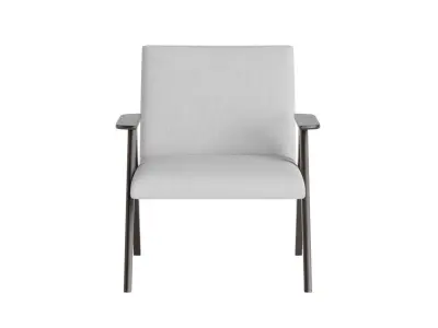 Acara Accent Chair 3D model