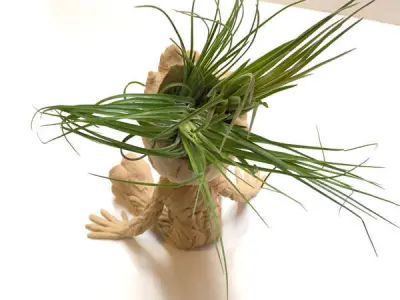 Vase Baby Groot 3D print model