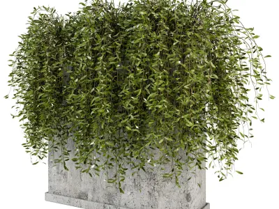 Outdoor Plants in rusty Concrete Pot - Set 8 3D model