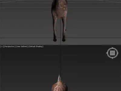 deer redy 3D model