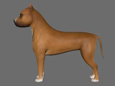 Dog  American Staffordshire Terrier Low-poly 3D model