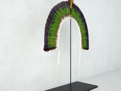 20th Century Brazilian Tribal Feather Headdress 3D model
