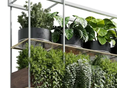 Hanging plants indoor plant 327 Low-poly 3D model