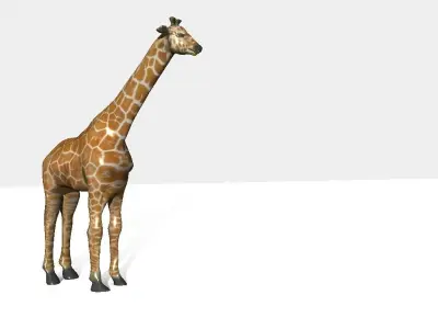 giraffee giraffe Low-poly 3D model