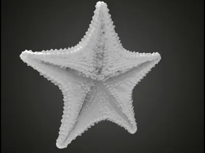 Starfish gold 3D print model