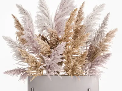 Decorative Bouquet of dried pampas grass 190 3D model