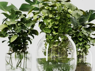 Indoor Plant Set 02 ivy in jar 3D model