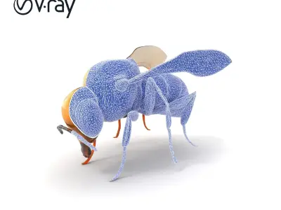 Dwarf Bee Intricate Detail Model Pack Low-poly 3D model