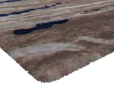 Rug Set 1238 3D model