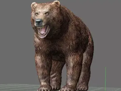 Bear Highpoly grizzly 3D model