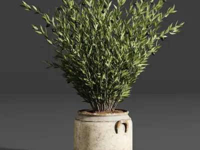 Indoor plant collection 24 3D model