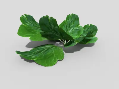 Low poly Plant leaf Low-poly 3D model