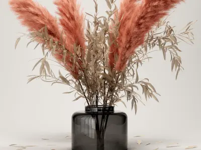  Bouquet dry pampas and Eucalyptus 3D model