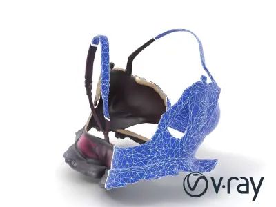 Elegant Lace Lingerie Set model pack Low-poly 3D model