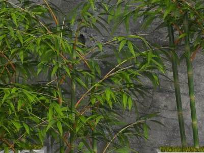 Plants collection 06 Bamboo 3D model