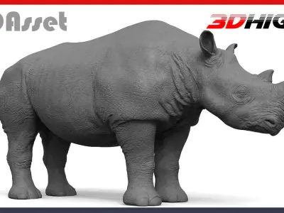 High Res Rhino 3D model
