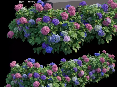 Hydrangea Plant set 26 3D model