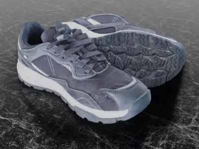 MICHELIN LCS MONT BLANC 3D SHOES Low-poly 3D model