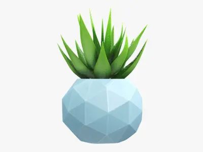 Succulent in planter pot 01 3D model