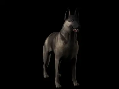 Shepherd dog 3d model 3D model