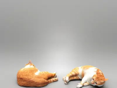 Lying cat 43 Low-poly 3D model