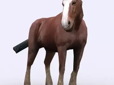 3DRT - Horse Low-poly 3D model