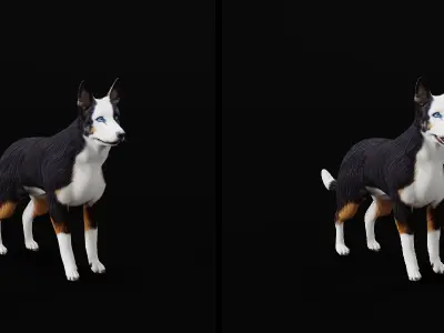 Panda German Shepherd Dog Low-poly 3D model