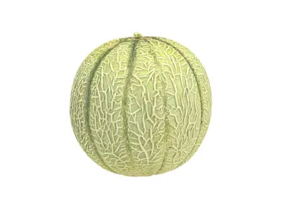 Photorealistic Charentais Melon 3D Scan 3D model