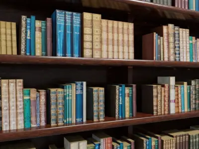 Old Wood Bookcase - Library - Estante de Livros Low-poly 3D model