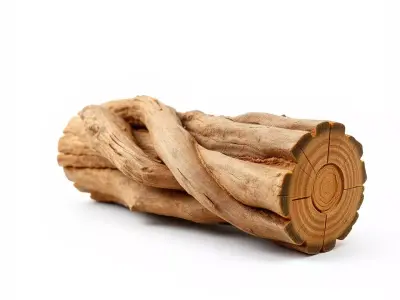 Twisted Timber model pack Low-poly 3D model