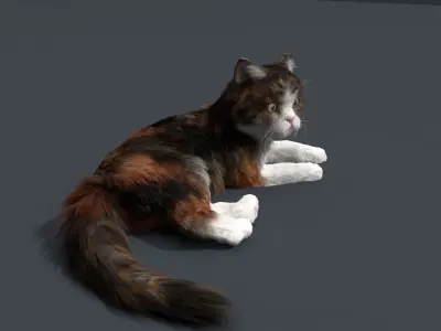 Cat Fur Rig 3D model