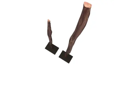 Branch Decor 3D model